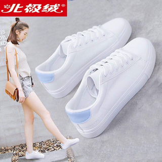 giầy sneaker giá sỉ