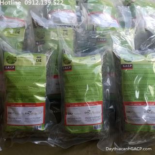 Trà Dây Thìa Canh DK 100Gram