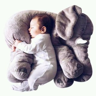Gấu bông heo và voi dễ thương