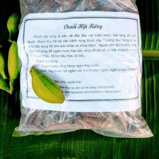 Chuối hột rừng Trường Sơn
