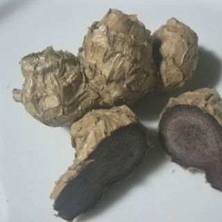 Ngải tím