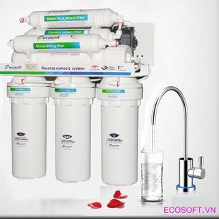 Máy lọc nước Ecossoft