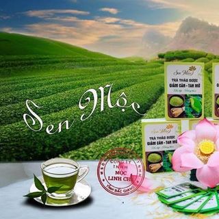 GIẢM CÂN SEN MỘC - MỘC LINH CHI