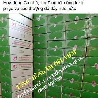 KÉN ĐẶT - ĐẶC TRỊ VIÊM PHỤ KHOA - HỒNG ÂM TIÊU VIÊM