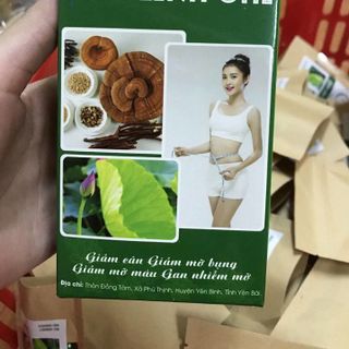 GIẢM CÂN - NẤM LINH CHI - GIẢM CÂN AN TOÀN
