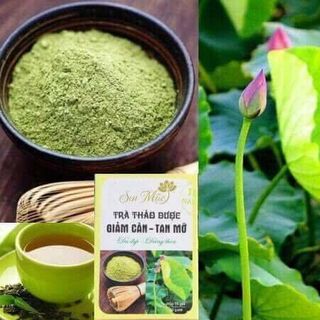GIẢM CAN - SEN MỘC