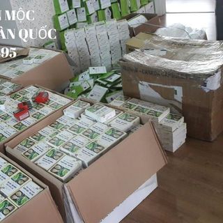 GIẢM CÂN SEN MỘC - MỘC LINH CHI giá sỉ