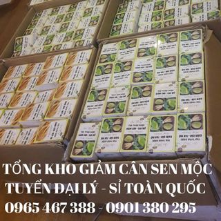 GIẢM CÂN SEN MỘC - MỘC LINH CHI