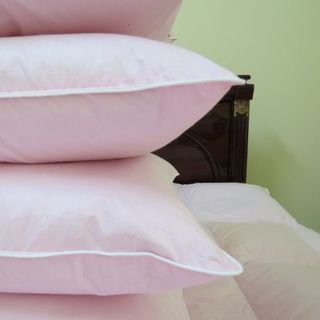 Các sản phẩm sản từ lông vũ
