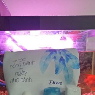 Bộ Dove 3 món giá sỉ