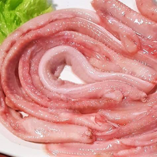 Sỉ cá mút đá - Hà Nội