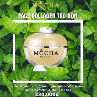 Collagen Tảo Non MOCHA giá sỉ