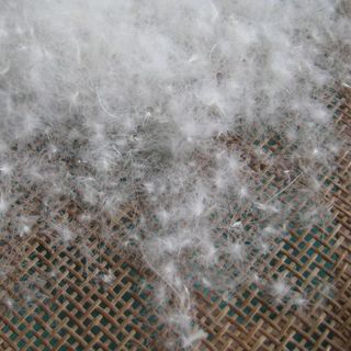 Chăn gối lông vũ Phương Nam