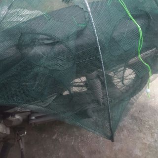 Bán sỉ Lưới bắt cá 8 lỗ