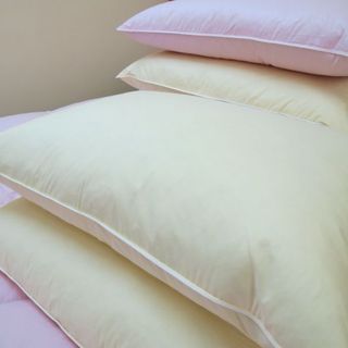 Chăn ga gối đẹm lông vũ Phương Nam