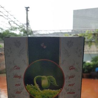 Mầm đậu nành nguyên xơ oliver giá sỉ​ giá tốt