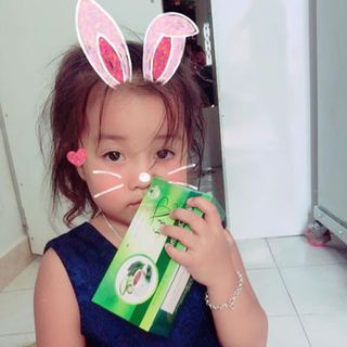 trà Khổ Qua Rừng túi lọc