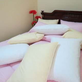 Chuyên chăn gối lông vũ