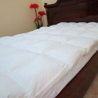 Chuyên chăn gối lông vũ