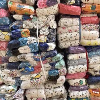 quần chục bozip