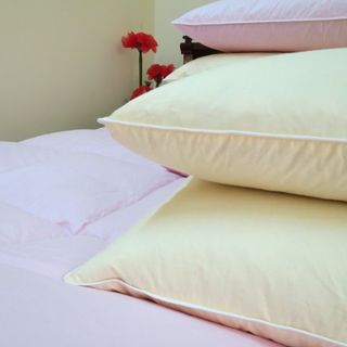 Sản phẩm chăn gối lông vũ Phương Nam