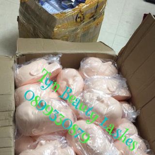 Đầu tập nối mi giá sỉ