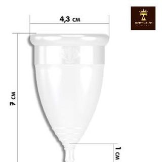 Cốc nguyệt san Lincup