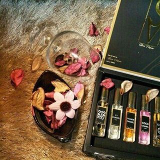 Set 5 chai nước hoa nam nữ