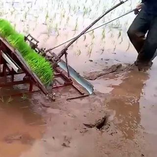 máy cấy lúa không động cơ