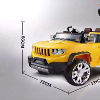 xe ô tô điện 8101