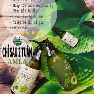 AMLA - dầu gội đầu đặc trị rụng 1 bộ