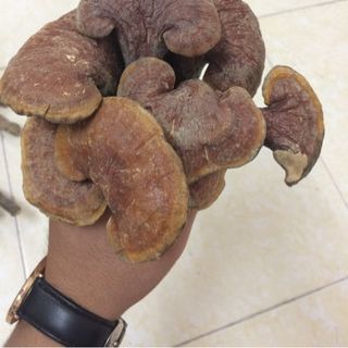 Sản phẩm tốt cho sức khoẻ