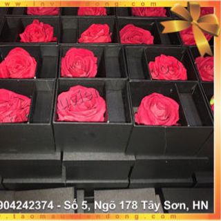 hộp quà tặng hoa hồng son môi