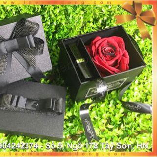 hộp quà tặng hoa hồng son môi