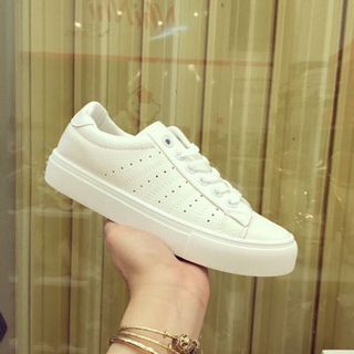giay bata đục lỗ cao câp