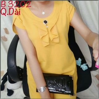 SỈ bộ cát hàn