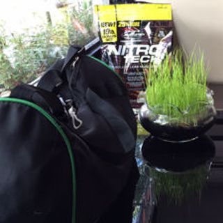 whey Nitrotech 10lbs