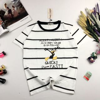 áo thun cotton 4 chiều