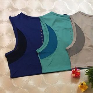 áo crotop nữ giá sỉ