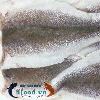 Cá đù sóc một nắng lớn