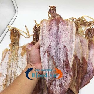 Mực khô 8 đến 10 con