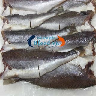 Cá đù ốp một nắng