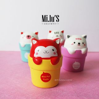 CHẬU CÂY TRANG TRÍ BÀN HÌNH MÈO SẮC MÀU