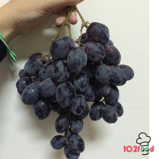 Nho đen không hạt Mỹ