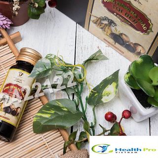 ĐÔNG TRÙNG HẠ THẢO TỎI ĐEN - DTHT/TD 001