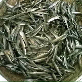 Khô cá chạch
