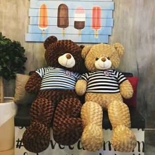 Gấu Teddy khổ vải 1m2