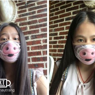 Khẩu Trang 3D Heo Mặt Cười