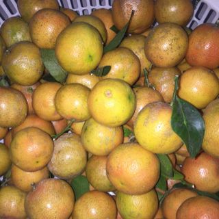 HŨ CHANH ĐÀO MẬT ONG ĐƯỜNG PHÈ 1000ml