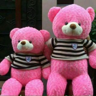 Gấu Teddy khổ vải 1m2